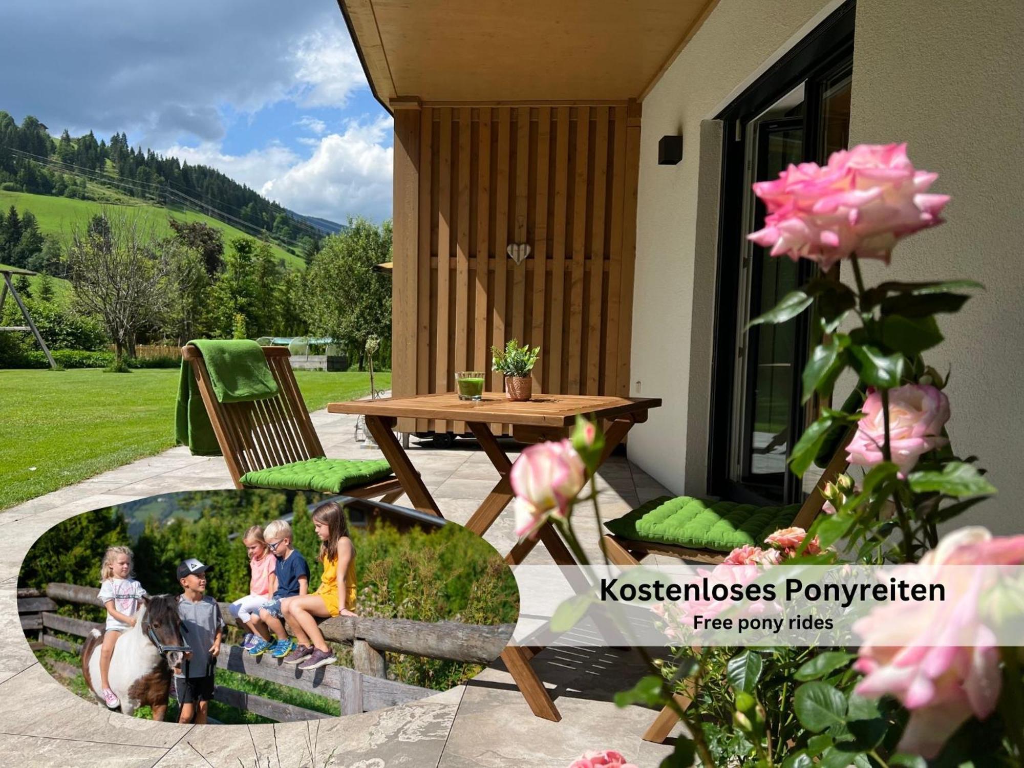 Apartments Viola Altenmarkt Altenmarkt im Pongau Exterior photo