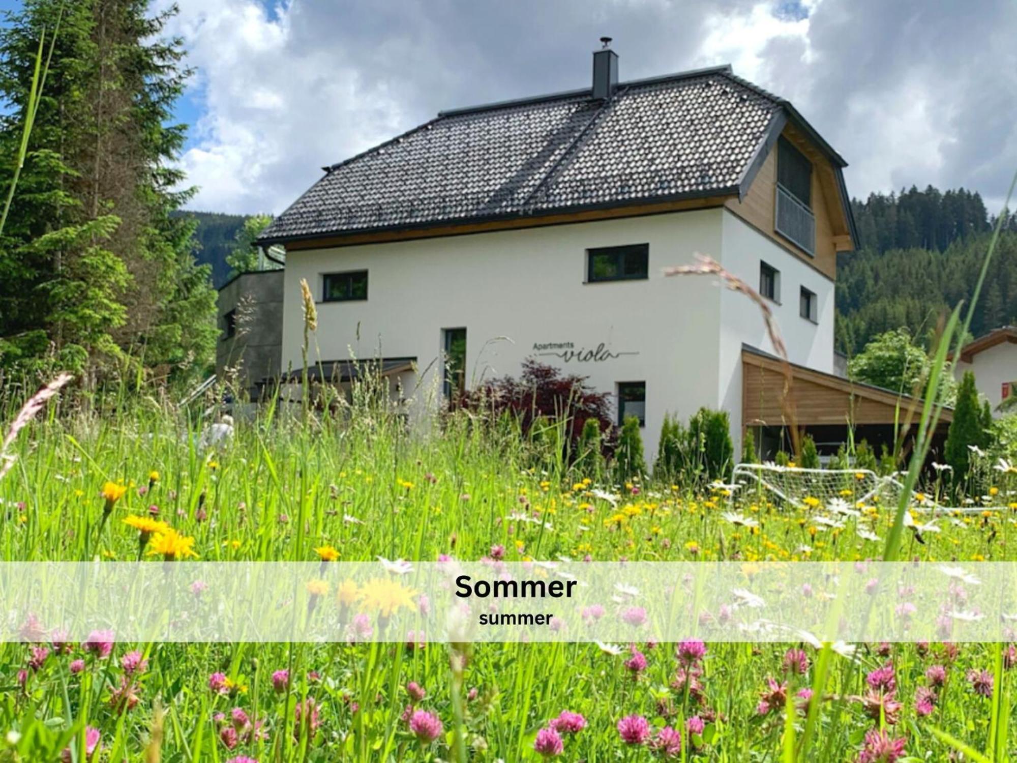 Apartments Viola Altenmarkt Altenmarkt im Pongau Exterior photo